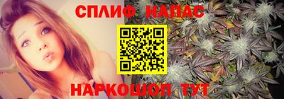 гашик Славгород