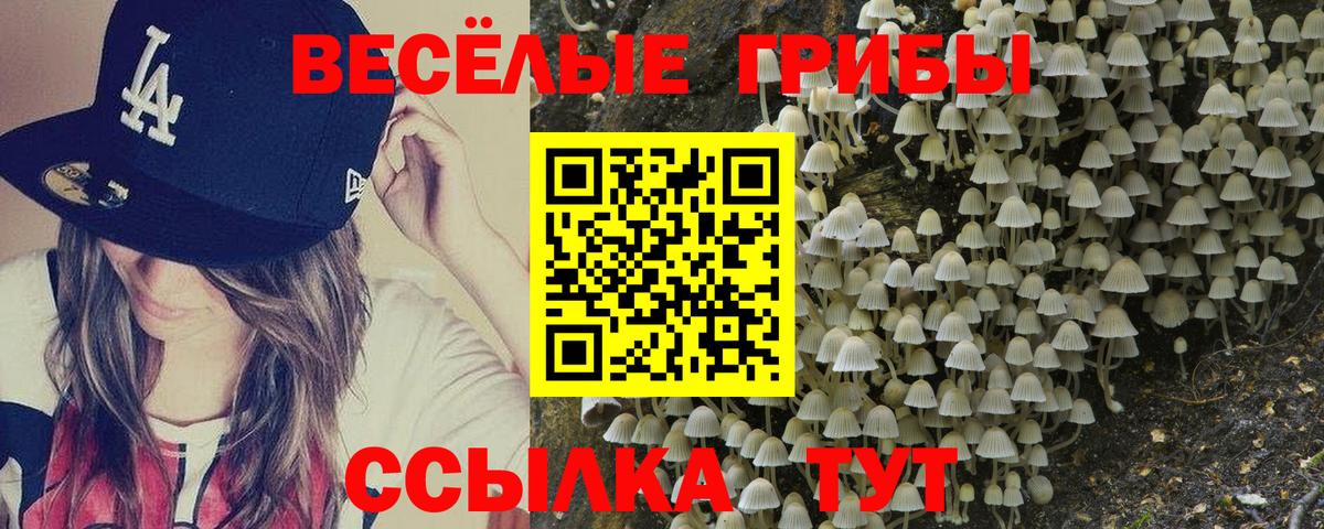 Оренбург  Галлюциногенные грибы Cubensis  Вход с VPN  Псилоцибиновые грибы Psilocybe 